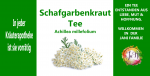 Schafgarbenkraut Tee | Achillea millefolium